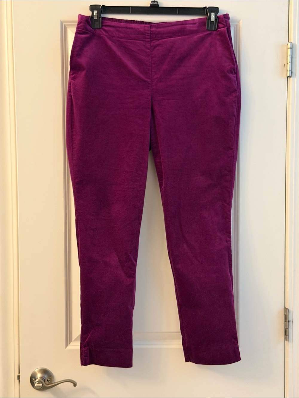 J. Jill Womens Purple Velvet ankle Pants size 10 EUC